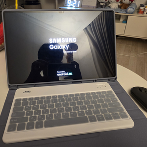 갤럭시탭 S8 울트라 512기가 Wi-Fi