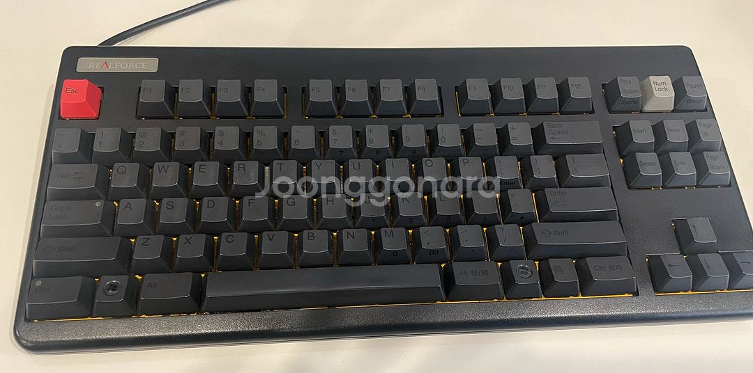 리얼포스 realforce 차등 키보드 87UKB (모--1