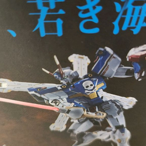 메탈빌드 크로스본 건담 x3