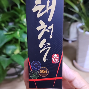 태청수(자가수)