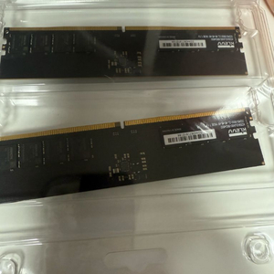 DDR5 A다이언락 32GB 6500