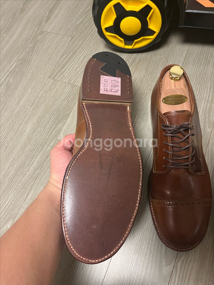 알든 a2507 희귀컬러 코도반 9d--4