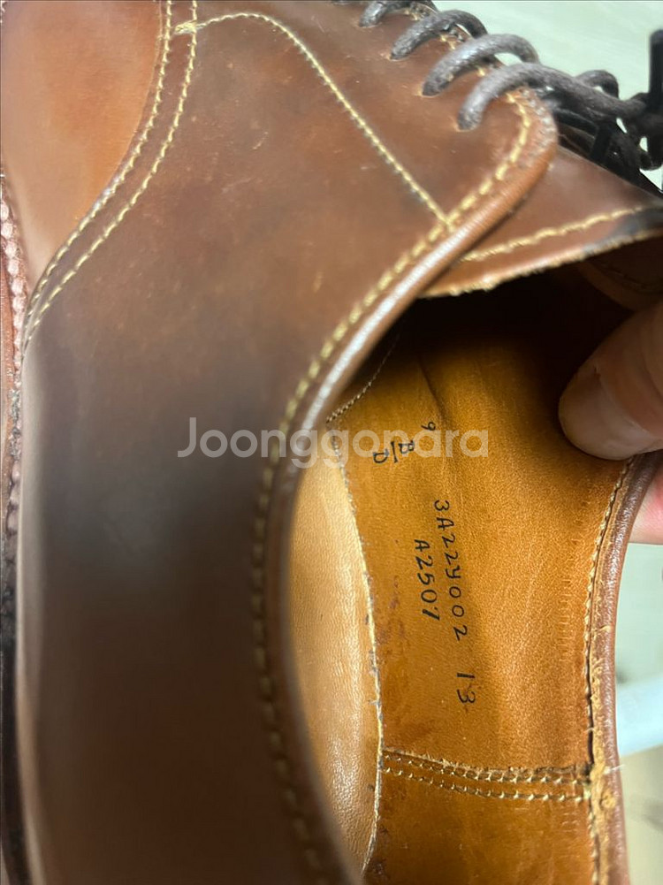 알든 a2507 희귀컬러 코도반 9d--6