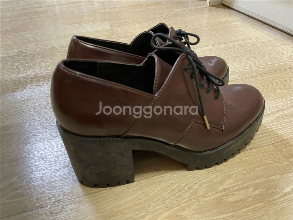 자라 통굽로퍼 245--1