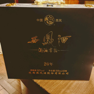 정품 서봉주 20주년 에디션 하드케이스