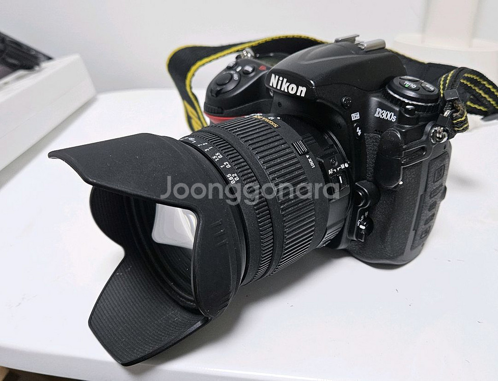 니콘 D 300 s 렌즈 SIGMA DC17-70m--3