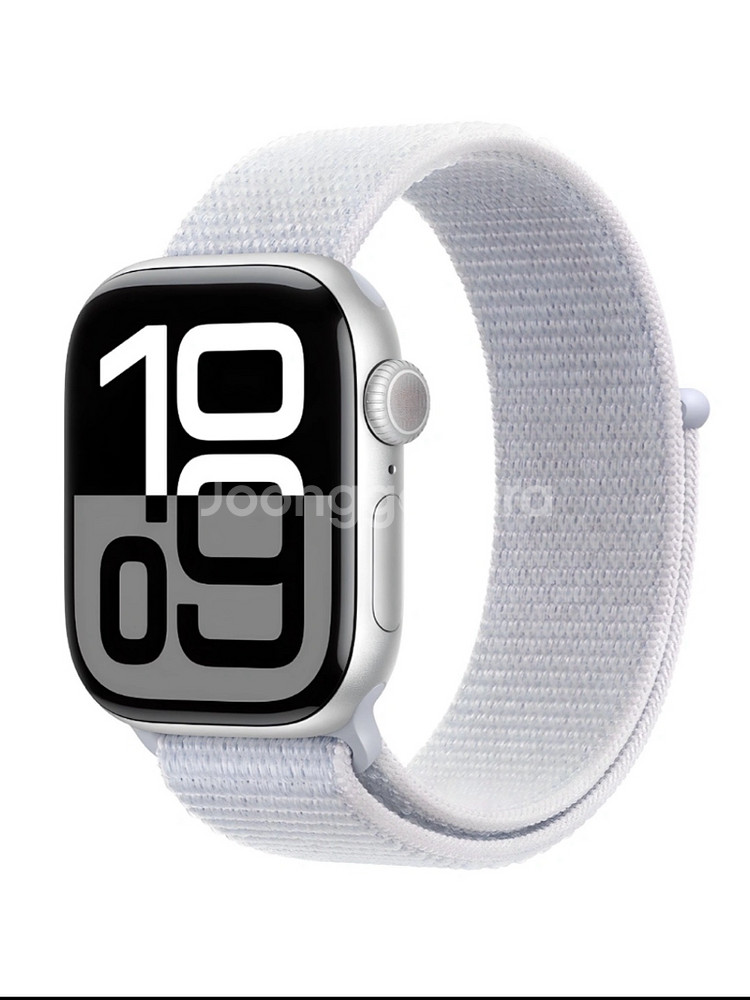 Apple 애플워치10GPS 42mm 실버 2달전구매--1