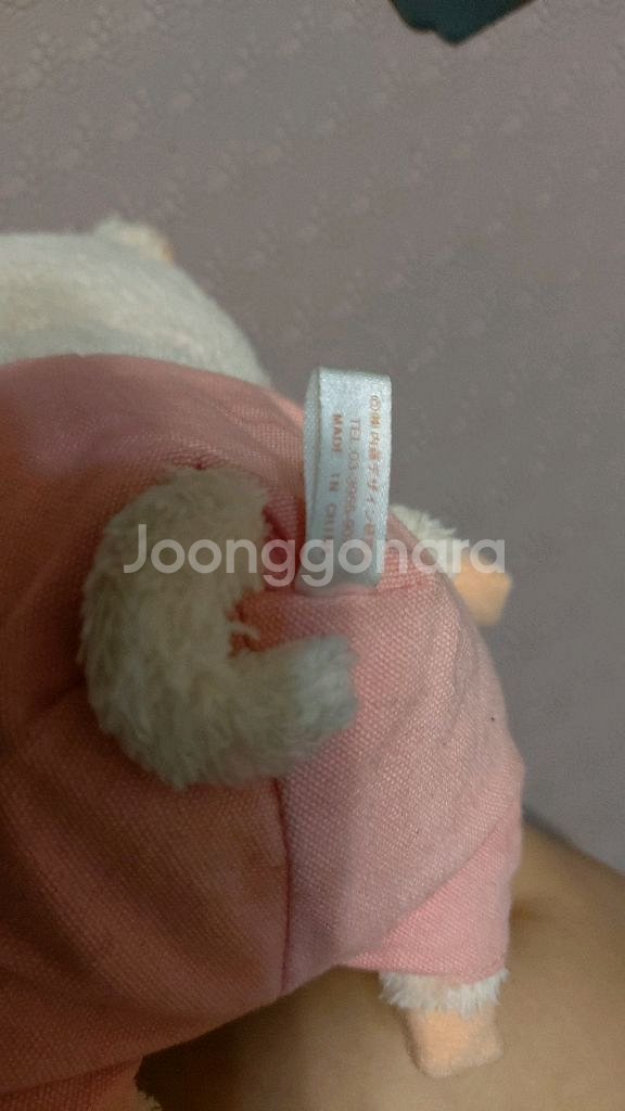 일본구입/ 피죤 아기돼지 봉제인형--3