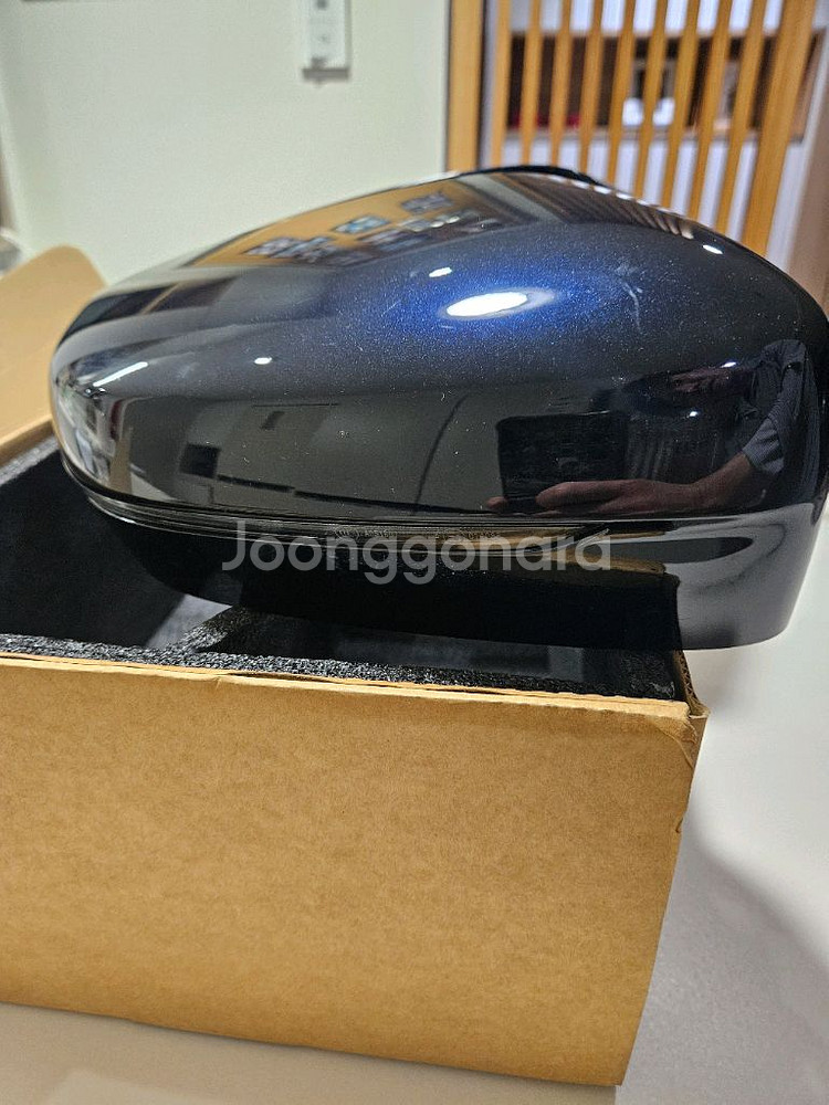 BMW 순정 카본블랙 사이드미러 커버+무빙 사이드리피터--1