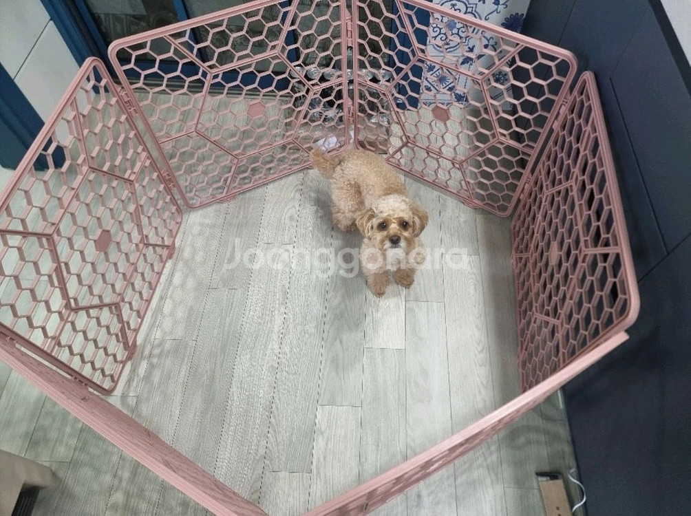푸르미 매직울타리 대형 6p--0