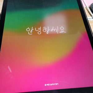 아이패드 프로 12.9 2세대 256g 셀룰러+펜슬