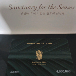 반얀트리 기프트카드 400만원