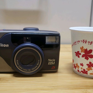NIKON 누비스 필름카메라 (APS 필름 사용)