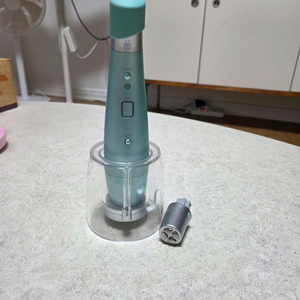 리쥬란 리쥬리프 맛사지기