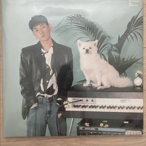 크러쉬 lp(한정판 새제품)