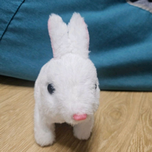 움직이는 토끼인형