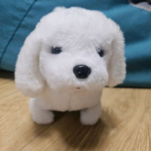움직이는 강아지 인형