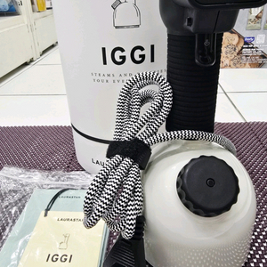 로라스타 IGGI핸디형 스팀다리미 판매합니다.