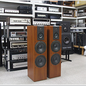 JBL(미국) 플로어 스탠딩 스피커 모델 LX2005
