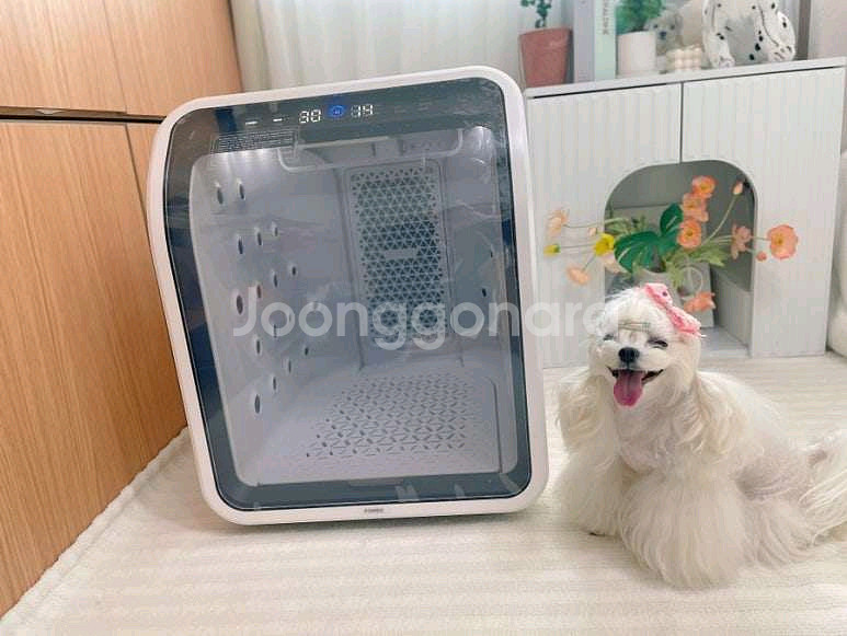 세이버 퐁고 2.0--1