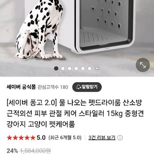 세이버 퐁고 2.0