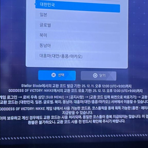 니케 스텔라블레이드 코드
