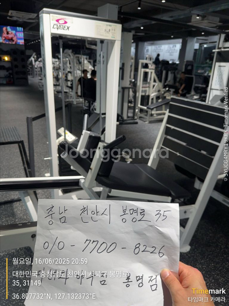 싸이벡스 cybex 머신 핵프레스 레그프레스--2