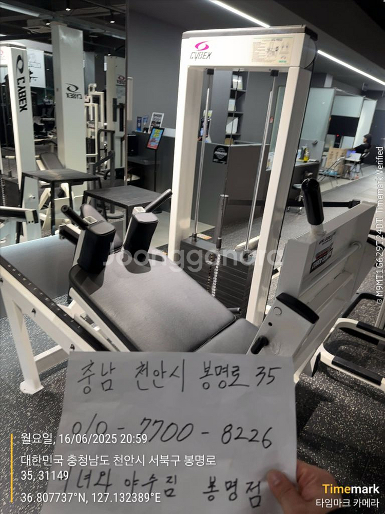 싸이벡스 cybex 머신 핵프레스 레그프레스--0
