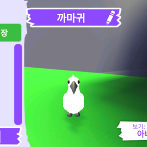입양하세요 펫 네온 까마귀 판매합니다