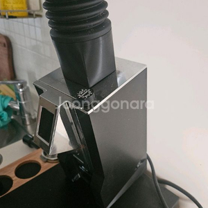유레카 미뇽 스페셜리타