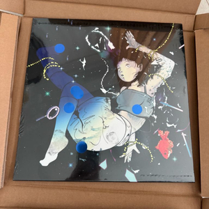 한로로 이상비행 lp 미개봉