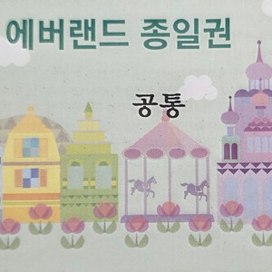 에버랜드 종일권