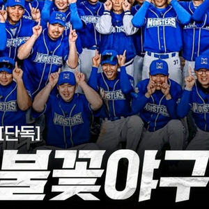 불꽃야구 티켓 좋은자리