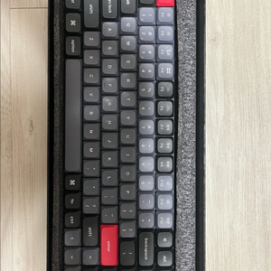 키크론 k3 pro 적축 rgb 핫스왑