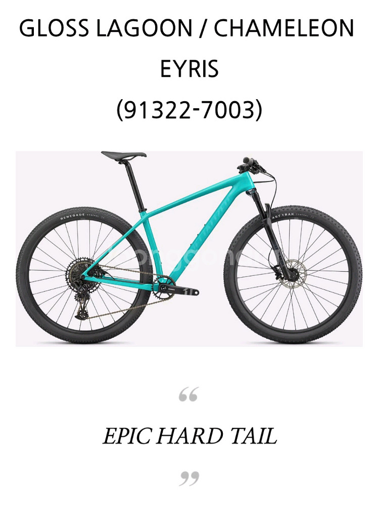 스페셜라이즈드 mtb 에픽 하드테일(L)2022--5