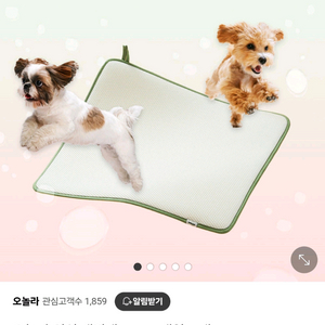 오놀라 워싱 배변패드 M 빨아쓰는 강아지배변판