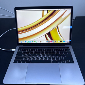 맥북프로 13인치 2019년형 i5 16/512GB