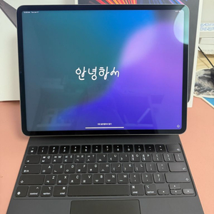 아이패드 프로 5세대 12.9 m1 256기가 스그+매