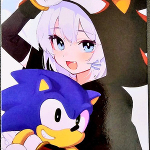 소닉구 포토카드 팝니다.