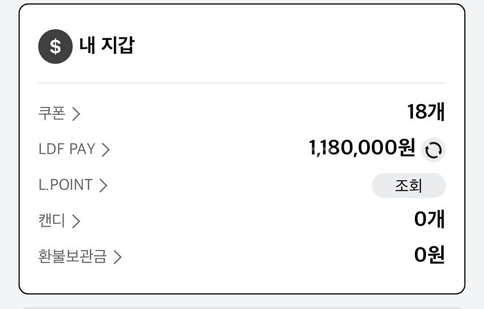 LDF PAY 118 -> 110만원 판매합니다.--0