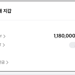 LDF PAY 118 -> 110만원 판매합니다.