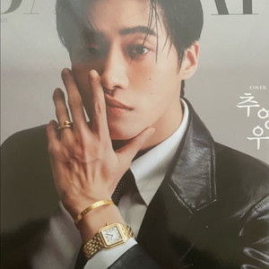 추영우 바자르 잡지