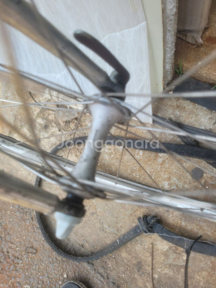 클래식 로드 자전거 Vitus 979 Dural--4