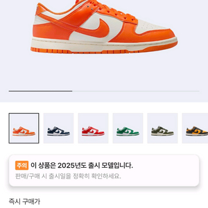 (270) 나이키 덩크 로우 레트로 시라큐스 2025