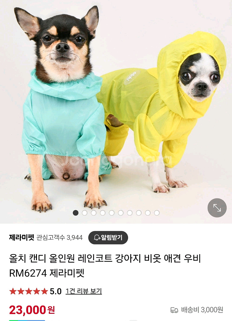 올치 캔디 강아지 레인코트 M 소형견우비--0
