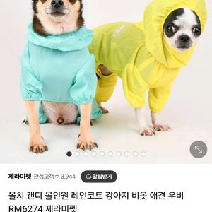 올치 캔디 강아지 레인코트 M 소형견우비