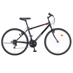 라빈 mtb