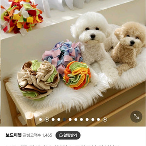 강아지 보드미펫 노즈워크볼 강아지장난감