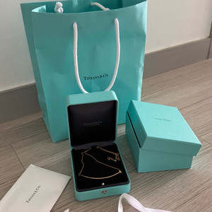 티파니 라지 스마일