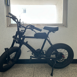 모페즈 bx 바이크 1000w